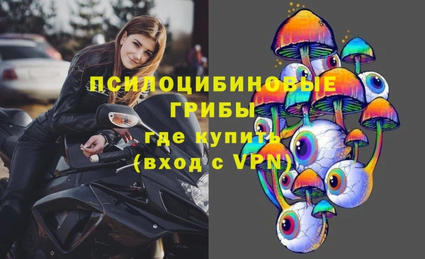 PSILOCYBIN Нефтекумск