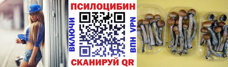 сколько стоит  Краснозаводск  Галлюциногенные грибы MAGIC MUSHROOMS 