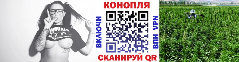 Шишки марихуана Amnesia  гидра ССЫЛКА  Краснозаводск 
